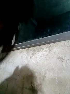 Ava-120 online show from 02-17-26, 03:08