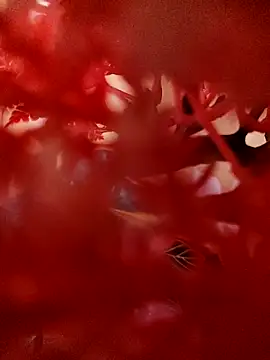 Jbsmaster online show from 11-19-25, 02:06