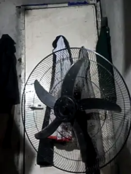 Sweet-Jhonna online show from 12-02-25, 03:51