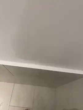 Maia0823 online show from 11-21-25, 04:44