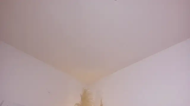 am berr online show from 12-13-25, 07:53