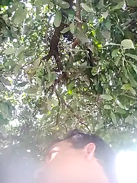 Snapshot of nori_dunda chatting on 12-17-25, 06:47 nori dunda online show from 12-17-25, 06:47