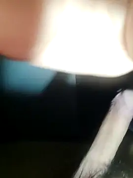 Snapshot of dieterrpuebl chatting on 12-22-25, 09:06 dieterrpuebl online show from 12-22-25, 09:06