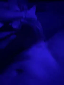 Tommy777B online show from 02-07-26, 10:57