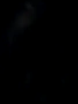 pussyfairy77toxic online show from 11-22-25, 08:19