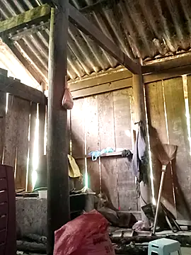 Snapshot of Lily-ross22 chatting on 11-25-25, 05:07 Lily-ross22 online show from 11-25-25, 05:07