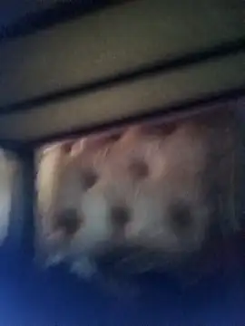 Cuteyuuboy2086 online show from 01-13-26, 01:05