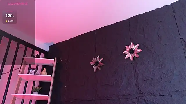 Paulo 527 online show from 01-12-26, 08:47