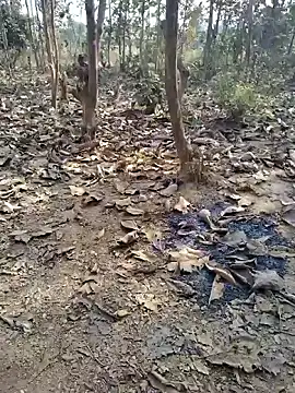 88zaifkhan88 online show from 01-08-26, 04:37