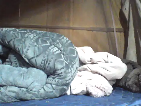 Alibabapi online show from 04-08-26, 07:30