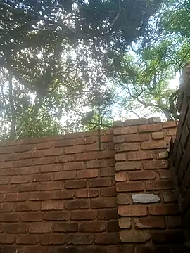 Snapshot of BlackJuicy_01 chatting on 12-15-25, 10:52 BlackJuicy 01 online show from 12-15-25, 10:52