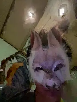 aotaro0721 online show from 02-27-26, 04:01