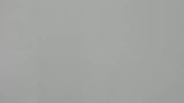 Snapshot of Ladymadinght chatting on 02-04-26, 02:01 Ladymadinght online show from 02-04-26, 02:01