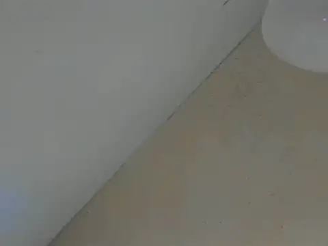 SweeXioji online show from 03-02-26, 06:59