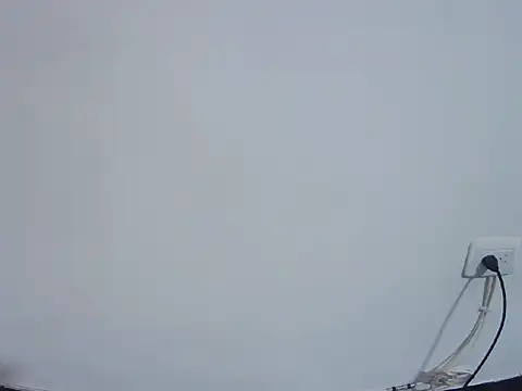 Snapshot of Fernanda_andrew chatting on 02-24-26, 04:49 Fernanda andrew online show from 02-24-26, 04:49