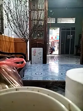 Nor6868 online show from 02-14-26, 01:46