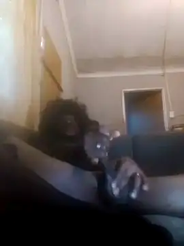 Faysbaakop3 online show from 02-10-26, 04:16