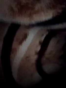 pihuu1313 online show from 02-09-26, 03:21