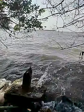 Snapshot of Andreskelly chatting on 02-16-26, 01:51 Andreskelly online show from 02-16-26, 01:51