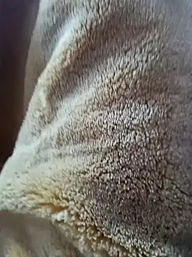 AR7v online show from 12-15-25, 09:24