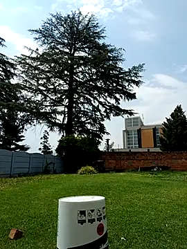 PetiteDoll 06 online show from 02-21-26, 11:55