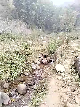 neko-nancy online show from 01-14-26, 02:50