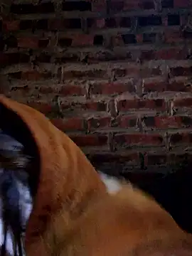 yana-zz online show from 01-13-26, 12:27