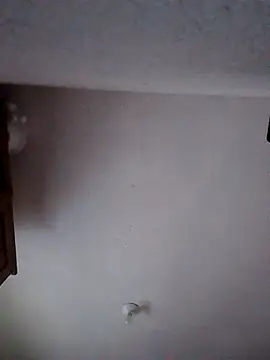 moni 1  online show from 01-09-26, 06:49