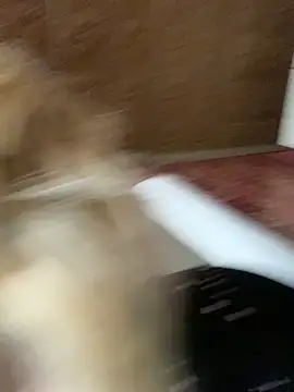 Barbika19 online show from 03-09-26, 08:18