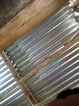 Rousse uwu online show from 01-08-26, 05:15