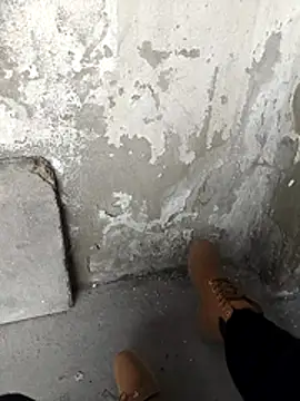 Mar81 online show from 02-12-26, 01:06