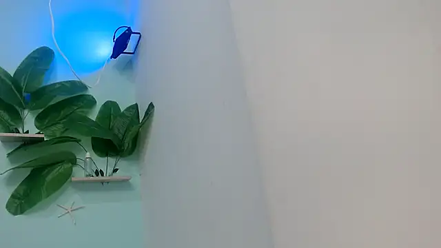 NOVAHOT98 online show from 01-12-26, 05:51