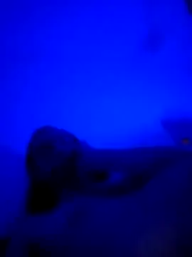 Snapshot of vladopen chatting on 01-07-26, 05:21 vladopen online show from 01-07-26, 05:21