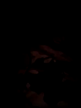 Snapshot of bnglrboy0886 chatting on 12-17-25, 07:31 bnglrboy0886 online show from 12-17-25, 07:31