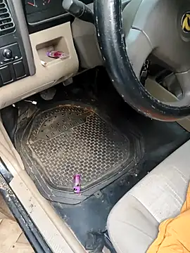 Snapshot of PIGHIGHDIRTY_p0 chatting on 02-20-26, 09:04 PIGHIGHDIRTY p0 online show from 02-20-26, 09:04