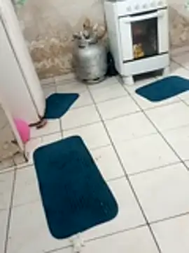 Snapshot of xxxxbucetuda_ chatting on 12-19-25, 03:52 xxxxbucetuda online show from 12-19-25, 03:52