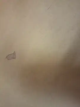 yourburget online show from 02-19-26, 02:24