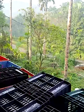 ancyauhuss online show from 12-22-25, 03:14