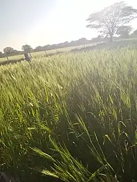 Snapshot of hornycouple20000 chatting on 01-14-26, 11:05 hornycouple20000 online show from 01-14-26, 11:05