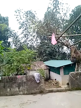 muamua99 online show from 01-17-26, 12:15