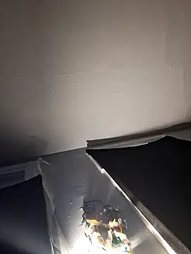 Snapshot of RealisedBooking chatting on 02-26-26, 12:04 RealisedBooking online show from 02-26-26, 12:04