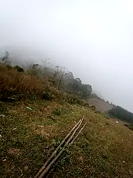 him220 online show from 02-15-26, 01:02