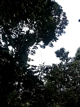 him220 online show from 03-02-26, 06:58