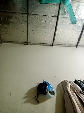 Sana-vn online show from 01-15-26, 01:48