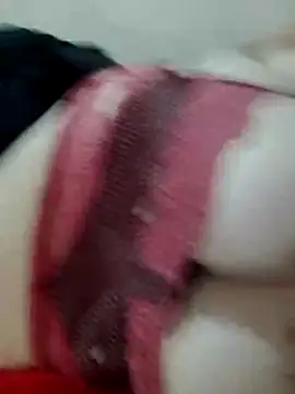 safadinha24h online show from 01-07-26, 08:11