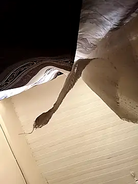 shanicollete online show from 01-15-26, 04:28