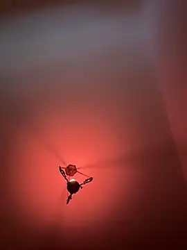 witchdub online show from 02-18-26, 04:47