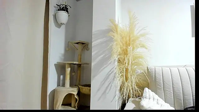  Sweet ary online show from 04-08-26, 02:55