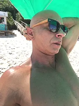 dogfrota online show from 02-12-26, 05:41