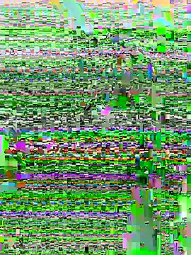 Snapshot of DouDou-- chatting on 06-23-26, 02:37 DouDou-- online show from 06-23-26, 02:37
